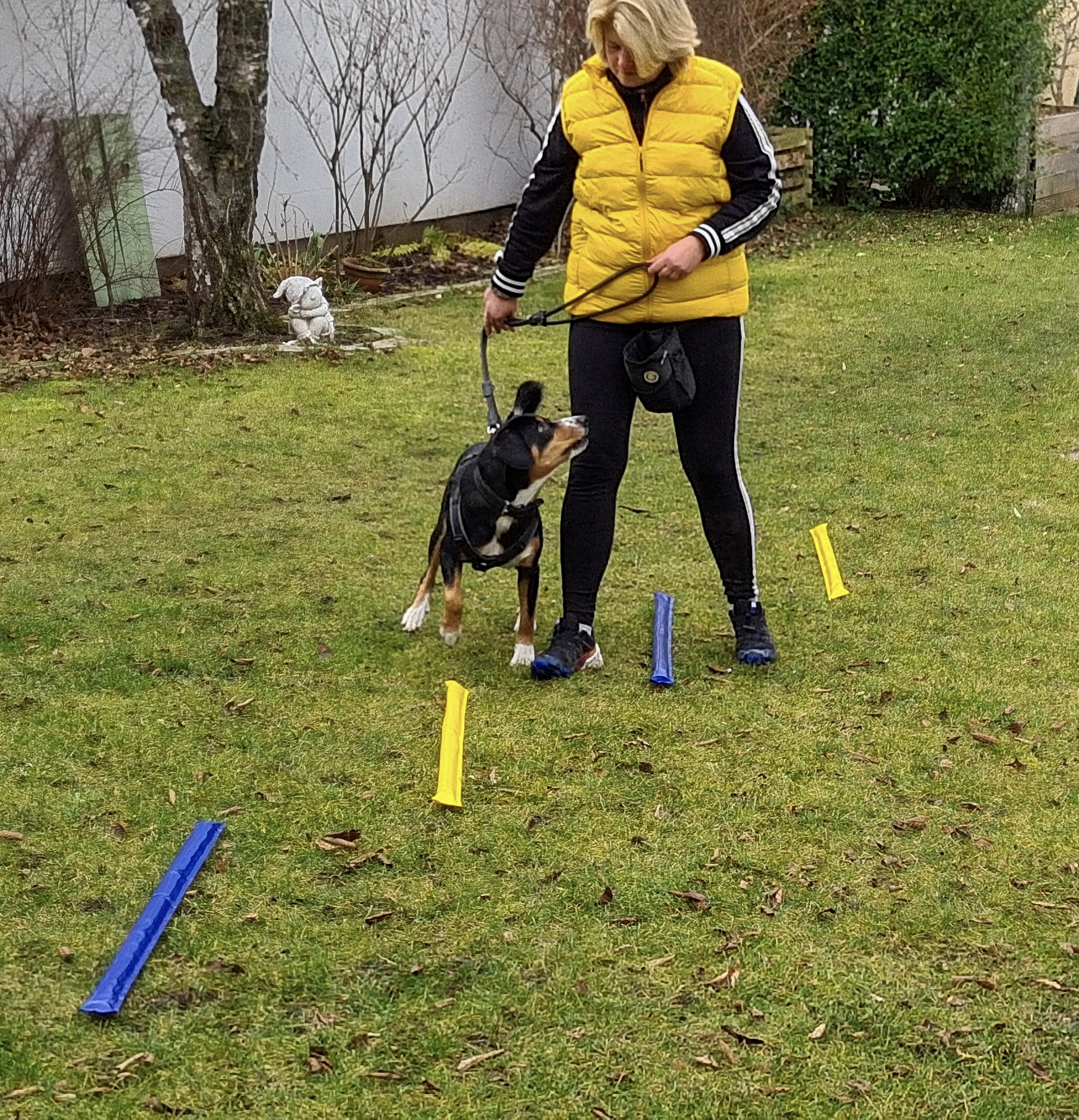 PHYSISCHE UND PSYCHISCHE BALANCE – CANISKINETIC