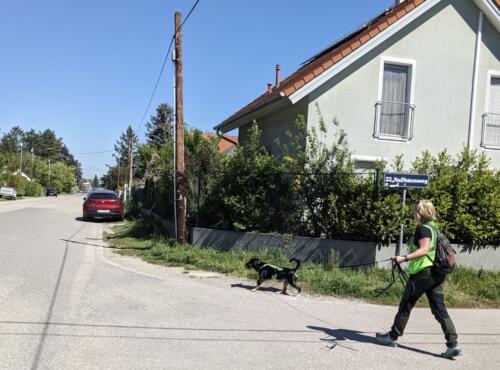 Foto_28